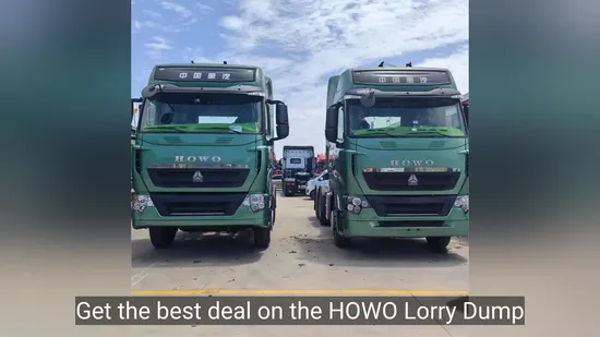 Bester HOWO-Kipplaster mit kommerzieller Kippfunktion in China