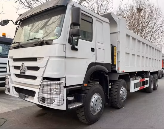 12 Reifen HOWO 8X4 Neuer Muldenkipper Euro2/3 50 Tonnen für den afrikanischen Markt Fabrikpreis