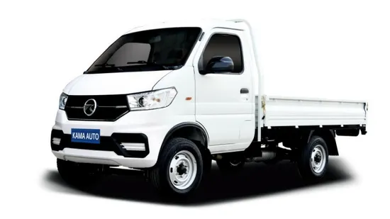 Hydraulische Bremse 100 km/h Kleine Benzin/Elektro Kompakt Pickup Trucks